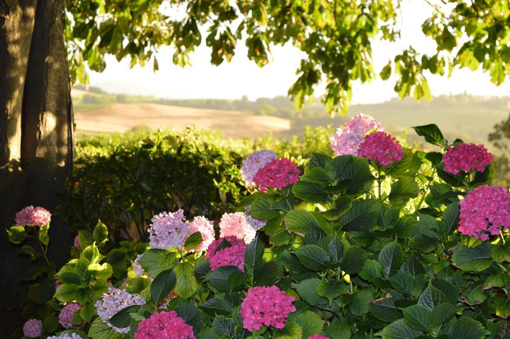Agriturismo Cavazzone Regnano  Luaran gambar